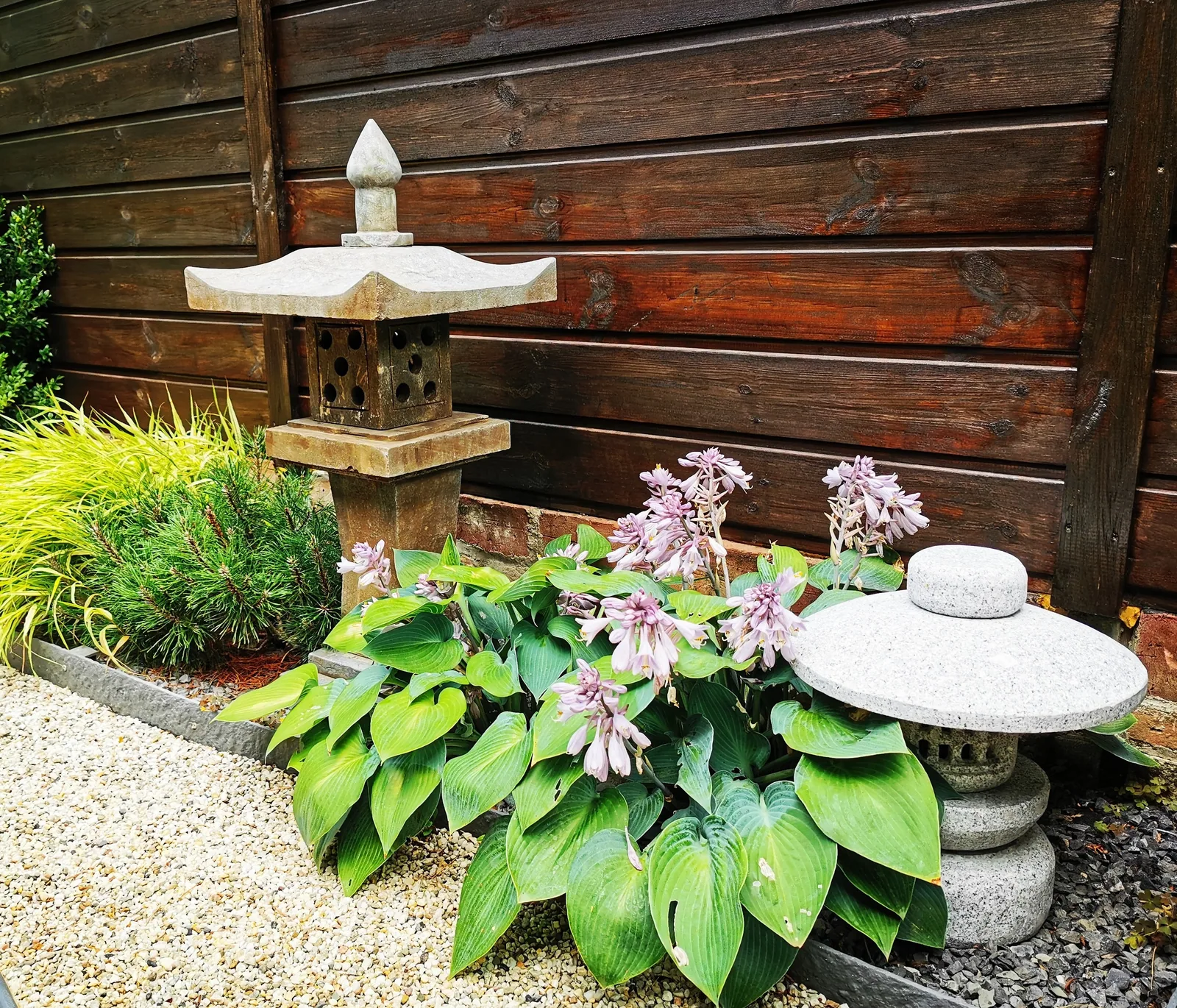le jardin de Moji 6